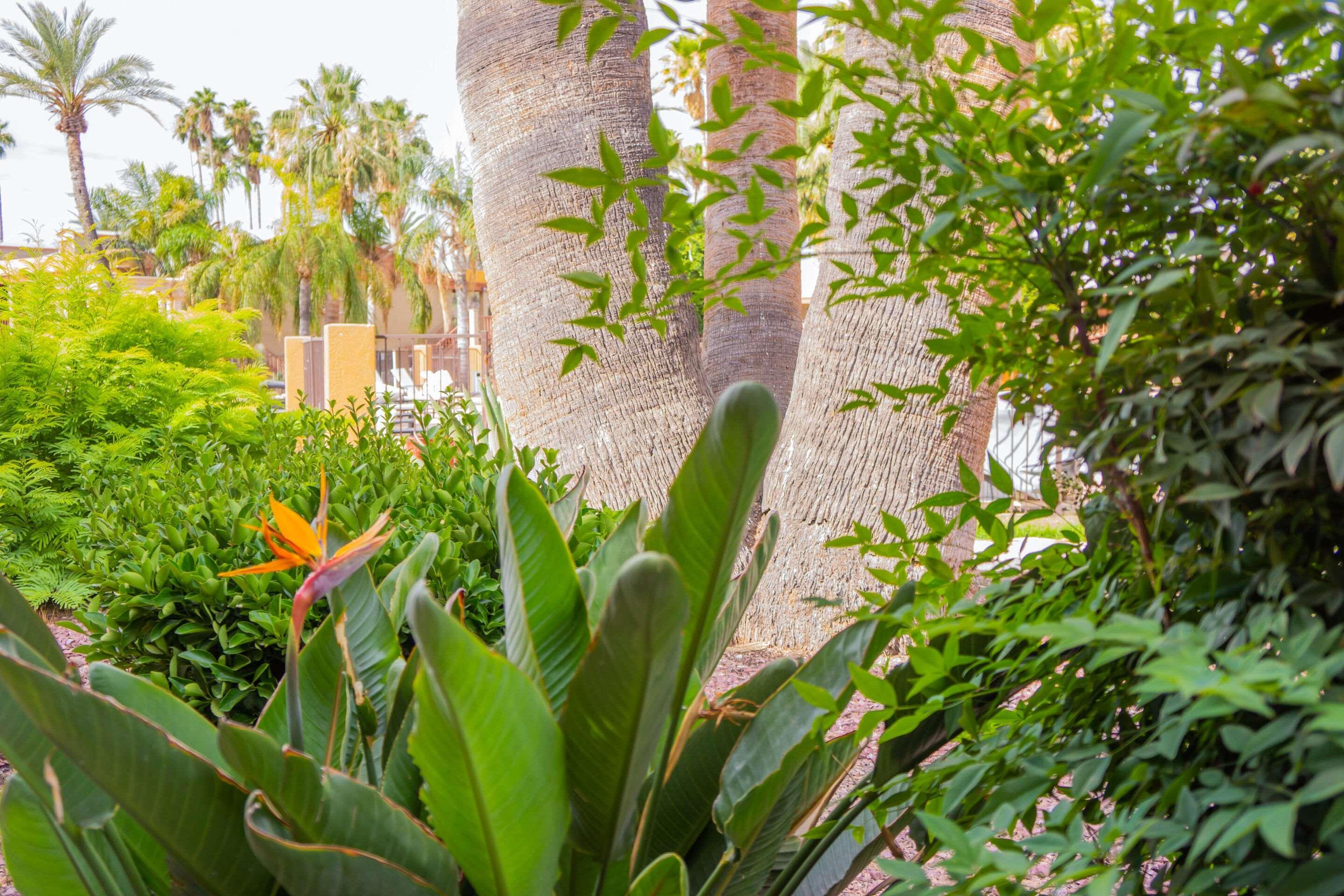 Hotel Tucson City Center, An Ascend Hotel Collection Member Exterior foto